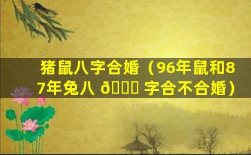 猪鼠八字合婚（96年鼠和87年兔八 🍀 字合不合婚）